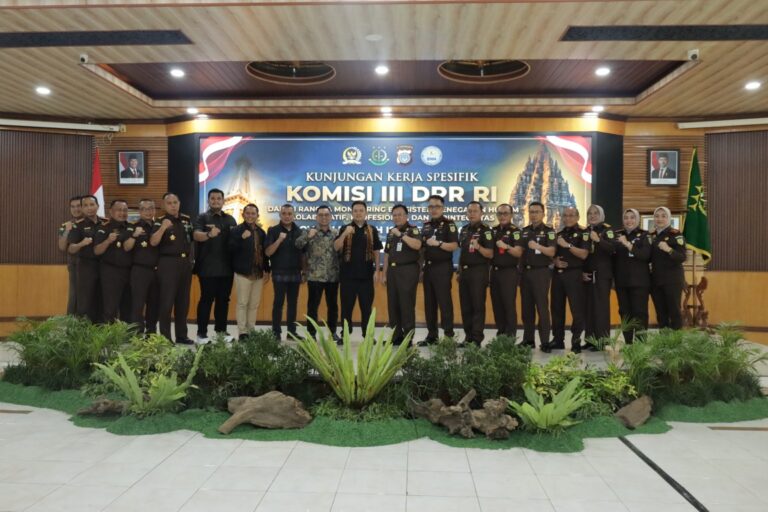 KTJO8451 (Medium)